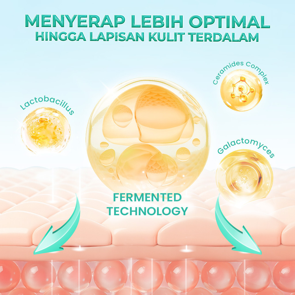hanasui 10x ceramide probiotics moisturizer gel 30g/pelembab wajah hanasui 10x ceramide probiotics moisturizer gel 30g/pelembab wajah