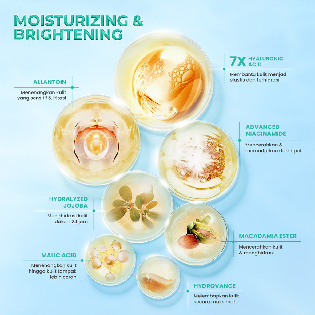hanasui 10x ceramide probiotics moisturizer gel 30g/pelembab wajah hanasui 10x ceramide probiotics moisturizer gel 30g/pelembab wajah