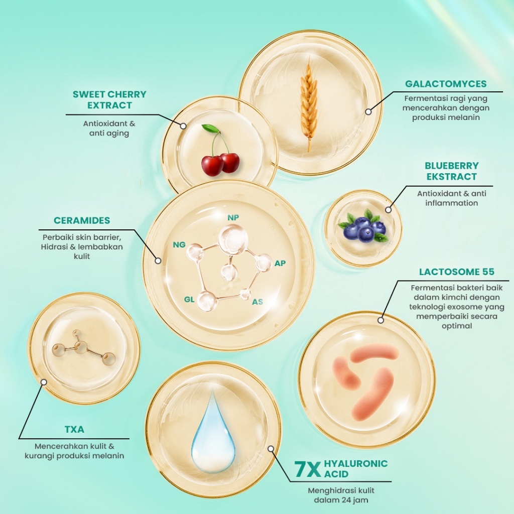 hanasui 10x ceramide probiotics peeling gel 100g hanasui 10x ceramide probiotics peeling gel 100g
