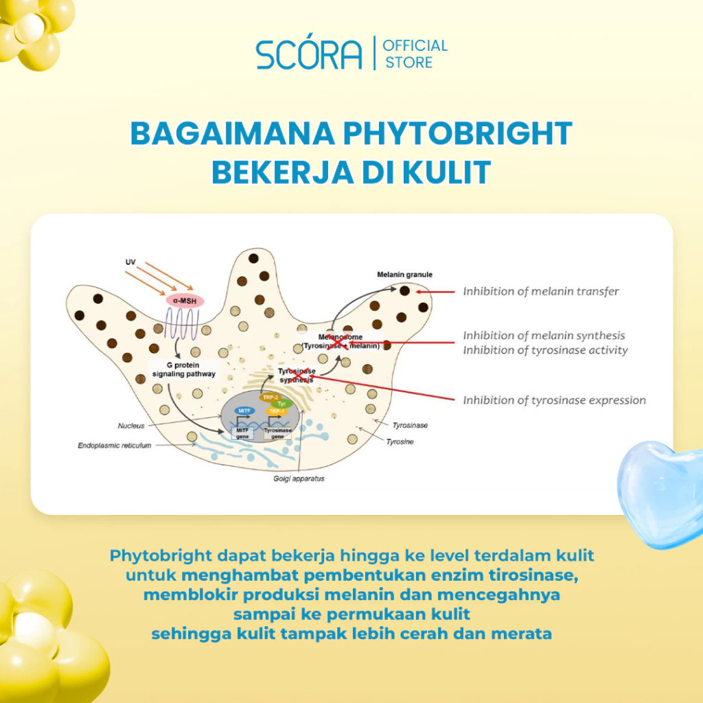 scora phytobright gentle low ph cleanser 100ml/pembersih wajah scora phytobright gentle low ph cleanser 100ml/pembersih wajah