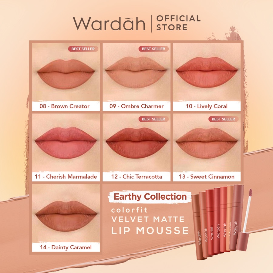 wardah colorfit velvet matte lip mousse wardah colorfit velvet matte lip mousse
